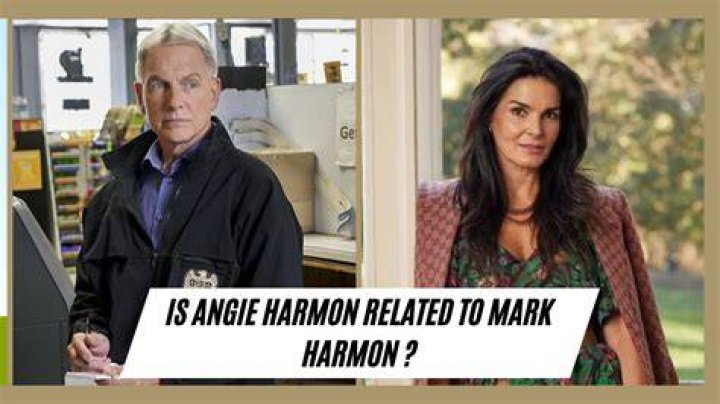 Are Mark Harmon and Angie Harmon related?