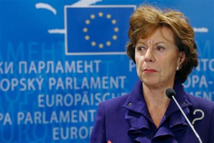 Bram Peper Ex-Wife: Who Is Neelie Kroes?