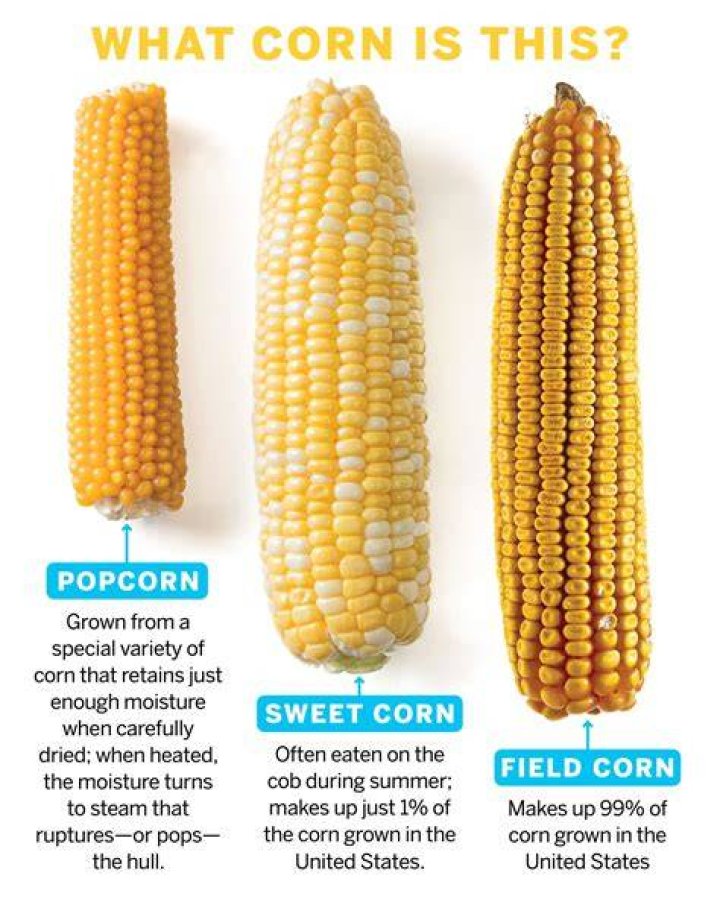 Do you detassel sweet corn