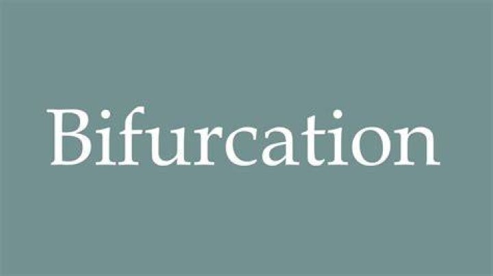 How to pronounce bifurcation