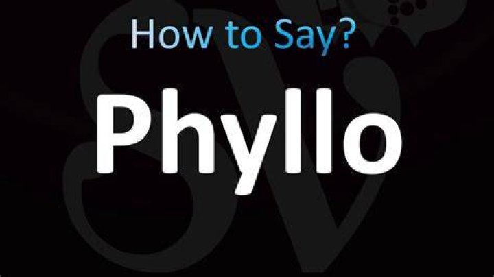 How to pronounce phyllo