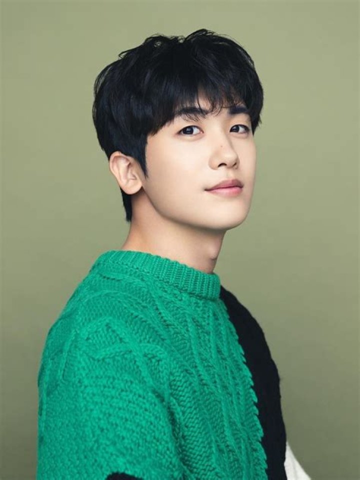 Park Hyung-Sik (Actor) Wiki, Bio, Age, Height, Weight, GF, Net Worth, Drama Series, Movies