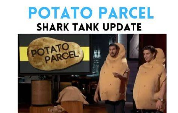 Potato Parcel Net Worth