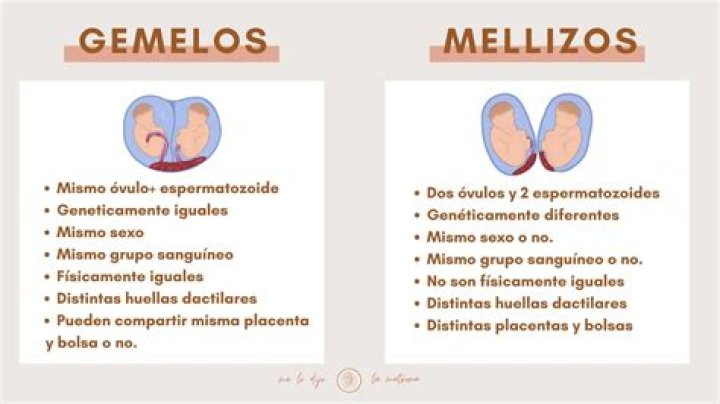 ¿Quién es la madre de Eva y Mateo? ¿Eva y Mateo son mellizos? ¿Cómo consiguió Ronaldo a sus gemelos?