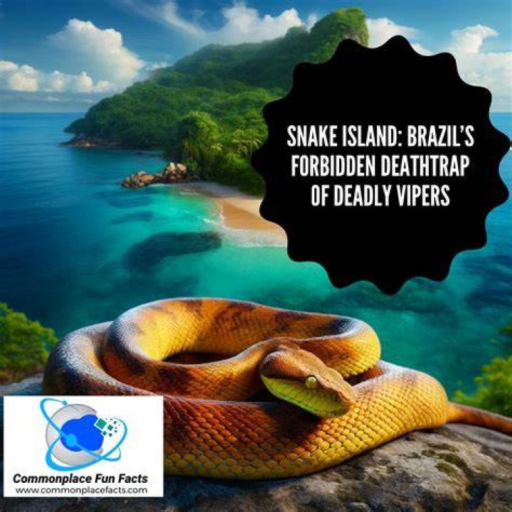 Snake Island in Brazil: 7 Facts You Need To Know