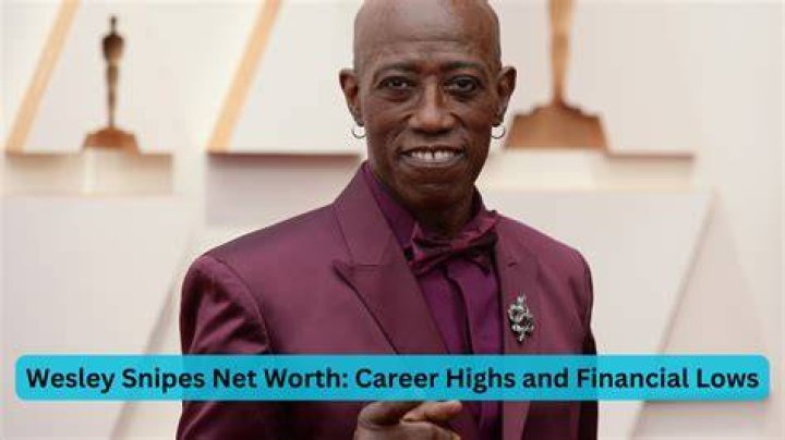 Wesley Snipes’s net worth, fact, career, awards, biography & life story
