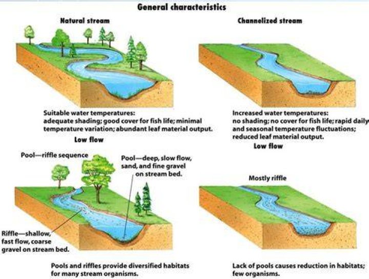 What does river channel mean