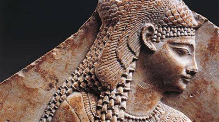 What Is Cleopatra Licciardo-Toivola Husband Name? Details To Know About Her Family