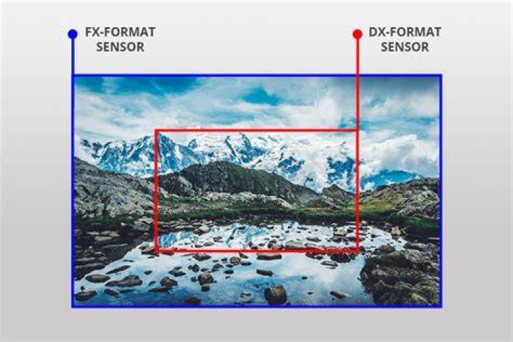 What is the Difference Between DX format and FX format