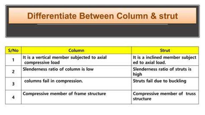 What is the Difference Between Strut and Column