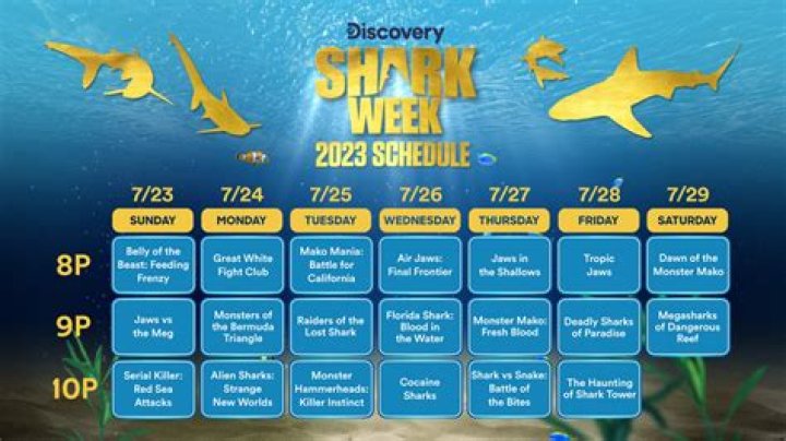 Who Is Michelle Jewell On Shark Week? Meet The Zoologist From The Brand New Season